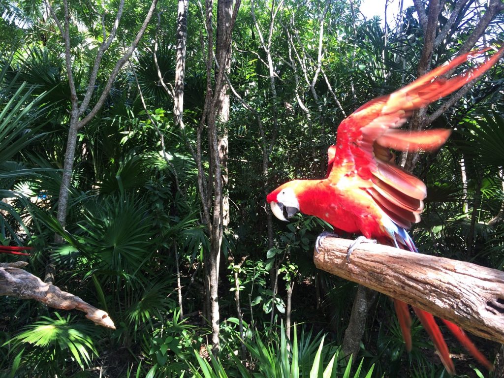 Just for the Fans in 2021